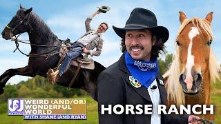 Shane & Ryan Visit A Hollywood Horse Ranch • Weird Wonderful World