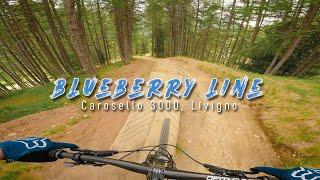 Blueberry Line - Carosello 3000, Livigno