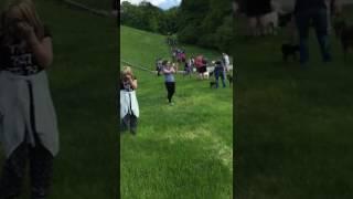 Vergessene Tierseelen e.V. - Maiwanderung 2017 II