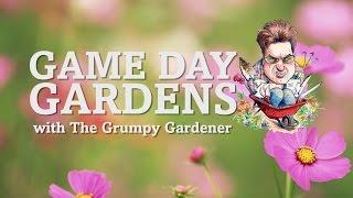 Grumpy Gardener  Game Day Gardens & Contest