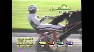 1999 Freehold Raceway ROMANTIC COMEDY Jack Moiseyev