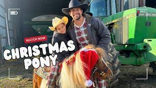 Little Cowboys Christmas Pony Surprise! MINI FARM/ANIMAL/CATTLE/TRACTOR/DONKEY/HORSE/KIDS LEARN/GIFT