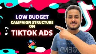 Tips and Tricks For Low Budget TikTok Ads -  How to Launch Campaign on TikTok ads in Pakistan