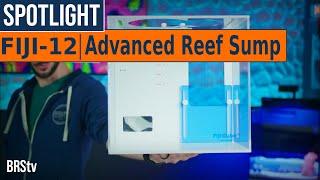 Huge Features, TINY Nano Reef Tank Sump! Fiji Cube 12 Advanced Reef Sump