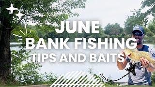 How to Catch Bass in June: Beginner Bank Fishing Tips and Baits