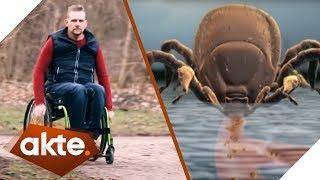 Gelähmt durch Zeckenbiss! Wie gefährlich ist Borreliose? | Akte | SAT.1 TV