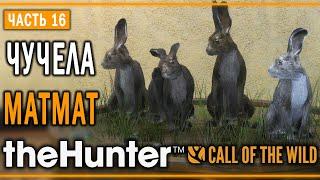 theHunter Call of the Wild #16  - Заячий Отряд - Кoмпозиции из Чучeл