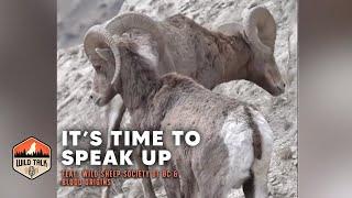 It's Time to Speak Up w/ Wild Sheep Society of BC and Blood Origins | Wild Talk S3 Ep15