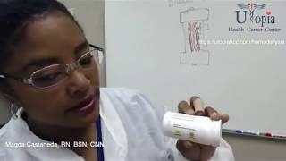 WHAT IS A BLOOD LEAK? [CHT CERTIFICATION REVIEW] 2022