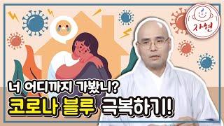 코로나 블루 극복하기! 너 어디까지 가봤니?