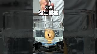 세상에서 가장 완벽한 계란