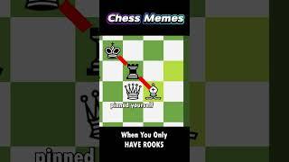 Does the Queen Like the Ladder Checkmate? | Chess Memes