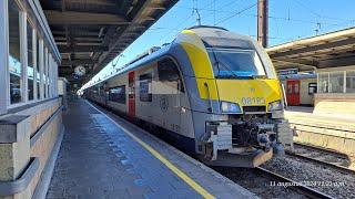  Intercity van Brussel Zuid naar Antwerpen Centraal met de NMBS Desiro - 11 aug 2024 (Heropname)