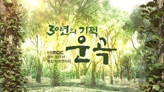 [MBC 특집 자연다큐] 30년의 기적!  운곡 [내레이션 배우 최불암]