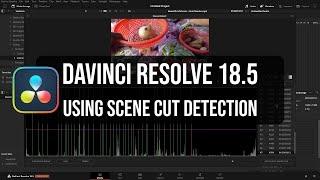 DaVinci Resolve 18.5 | Using Scene Cut Detection