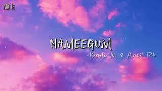 Nameegum(Lyrics) - Dudu M x Aniel RK | Lyrics Video|