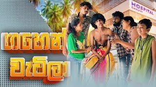 ගහෙන් වැටිලා | GAHEN WATILA | KDJ PRODUCTIONS | (@kdjdiaries)