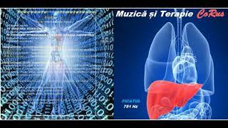 CoRus - Muzică și Terapie - Ficatul / Music and Therapy - The Liver