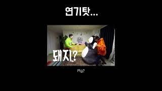 정말 돼지 밖에… #shorts #pengsoo #ペンス #흔한남매 #펭수