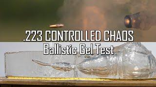 .223 CONTROLLED CHAOS Ballistic Gel Test! - Ballistic High-Speed