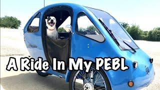 Eco-Friendly Vehicle Tour: The PEBL