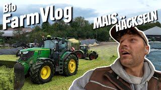 Erntestart Mais - endlich geht es los! John Deere 7400 im Einsatz / Vlog 129