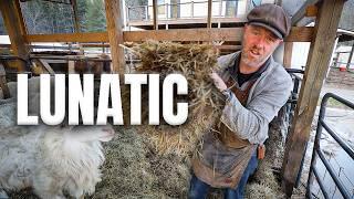 A Day in the Life of a Lunatic Homesteader