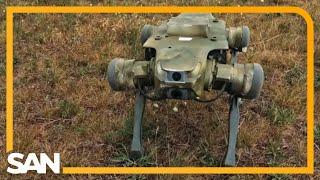 Ukraine leverages robotic dogs for reconnaissance, combat