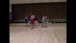 Madtown Ballroom 2014 Summer Performance