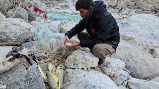 "Legendary Fishing with the Great Fisherman Family! The Big Catch Awaits!"