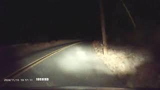 Wildlife. Bobcat kitten.#bobcat #wildlife #alpine #fun #shorts#dashcam