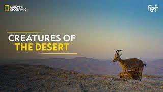 Creatures of the Desert | Hostile Planet | Full Episode | S1-E4 | Nat Geo Wild