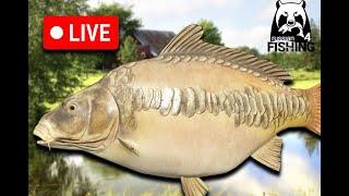 We Go Carp Fishing - Russian Fishing 4