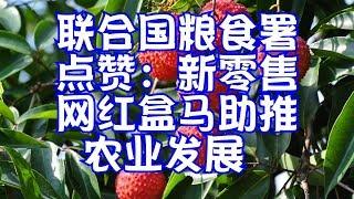 联合国粮食署点赞：新零售网红盒马助推农业发展