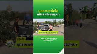 บุกรวบวงไฮโลรุ่นใหญ่ วิ่งหนีกระเจิงลงทุ่งนา  | Thairath