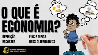 O que é ECONOMIA? | Definição | Conceitos | Usos Alternativos