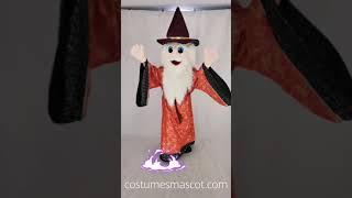 Merlin Wizard Mascot Costume; Mascotte de sorcier Merlin,Merlin Wizard Maskottchen Kostüm