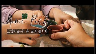 고양이들과 홈포차 브이로그VLOG(코로나엔 집콕놀이-홈카페X염따빠끄도전-수제간식)