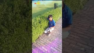 Md Arif raza arif(8)