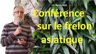 Frelon asiatique : conférence du 8 octobre 2020 à l'université de Tours