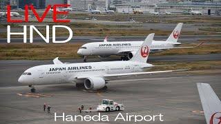 【LIVE】 24/10/22 羽田空港 T1 HANEDA AIRPORT  plane spotting