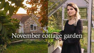 November Cottage Garden Tour - Autumn Colours, Growing Mushrooms & Saffron Crocuses