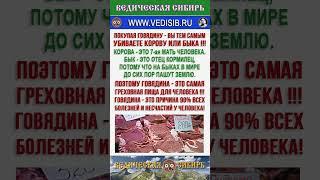 МЯСО - ЭТО ОЧЕНЬ ГРЕХОВНАЯ ПИЩА !!!  #господь #ведическая сибирь #всевышний #душа