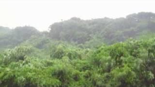 Typhoon 2010