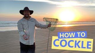 Goolwa Beach - How to Cockle