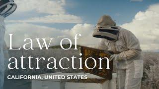 Law of attraction - Age of Change