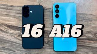 iPhone 16 vs Samsung Galaxy A16