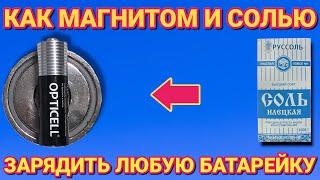 Как бесплатно зарядить любую батарейку , СОЛЬЮ и МАГНИТОМ за пару минут