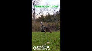 BEST Flashlight For Turkey Season!