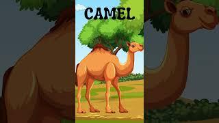 Amazing Animals for Kids:Fun Facts & Learning About Animals | Animals of the World - CAMEL